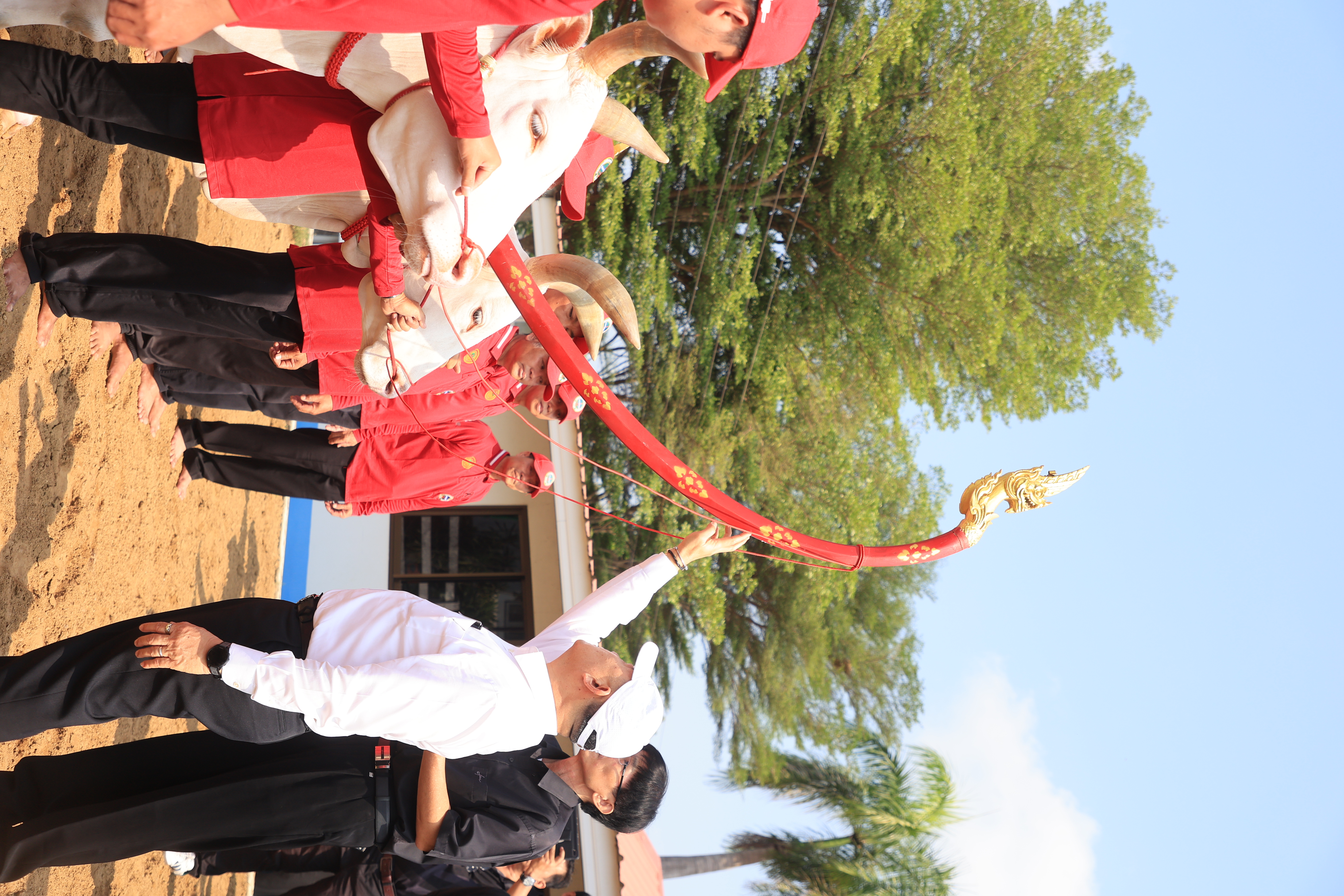 title - ส.ป.ก. เข้าร่วมการตรวจเยี่ยมการจัดเตรียมพระโค ในงานพระราชพิธีพืชมงคลจรดพระนังคัลแรกนาขวัญ ประจำปี 2569